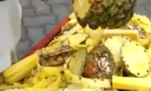 ananas jpeg