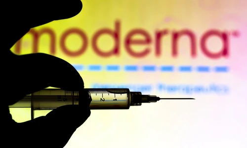 1 shutterstock 1852683142 jpg jpeg