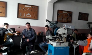 elevi profesionala