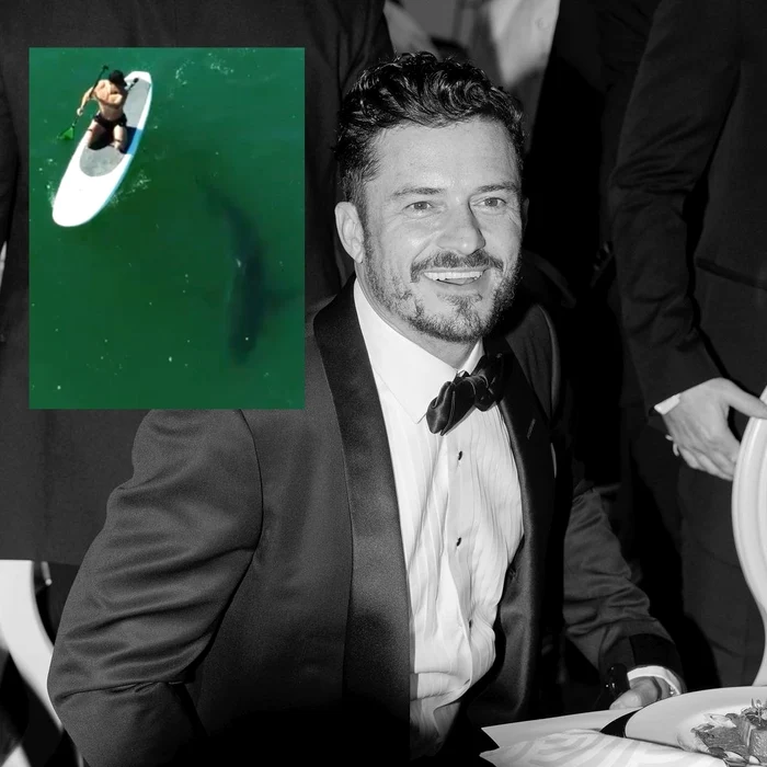 1 orlando colaj jpg jpeg