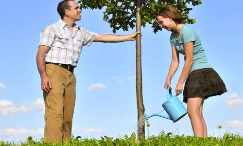 1 58653 original jpg jpeg