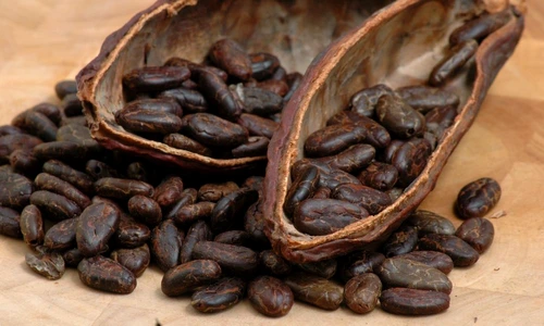 1 64636 original jpg jpeg