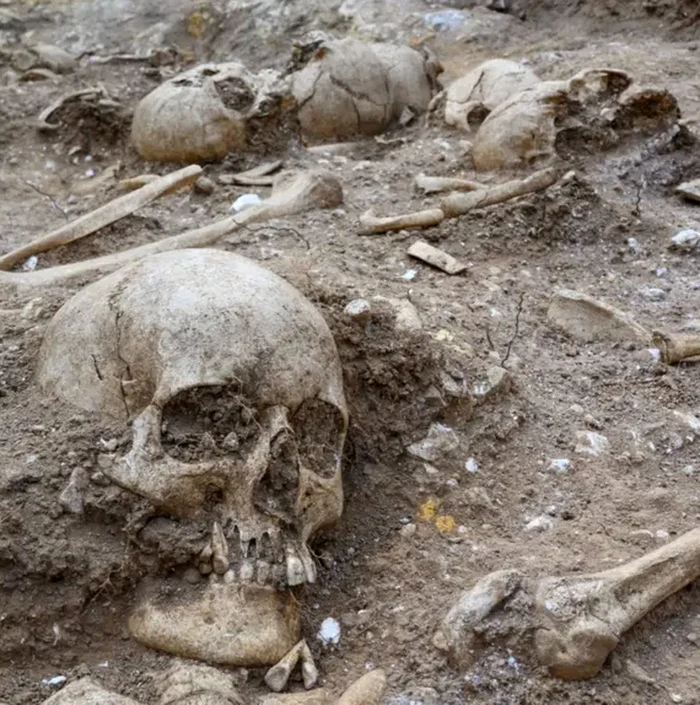 Rămășițe umane în groapa comună (© Cambridge Archaeological Unit / David Matzliach)