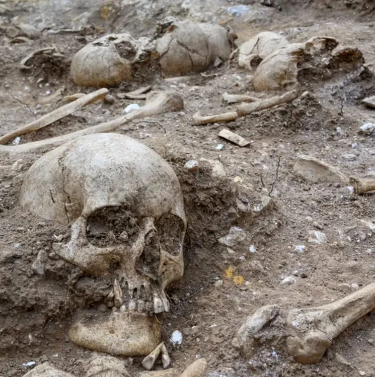Rămășițe umane în groapa comună (© Cambridge Archaeological Unit / David Matzliach)