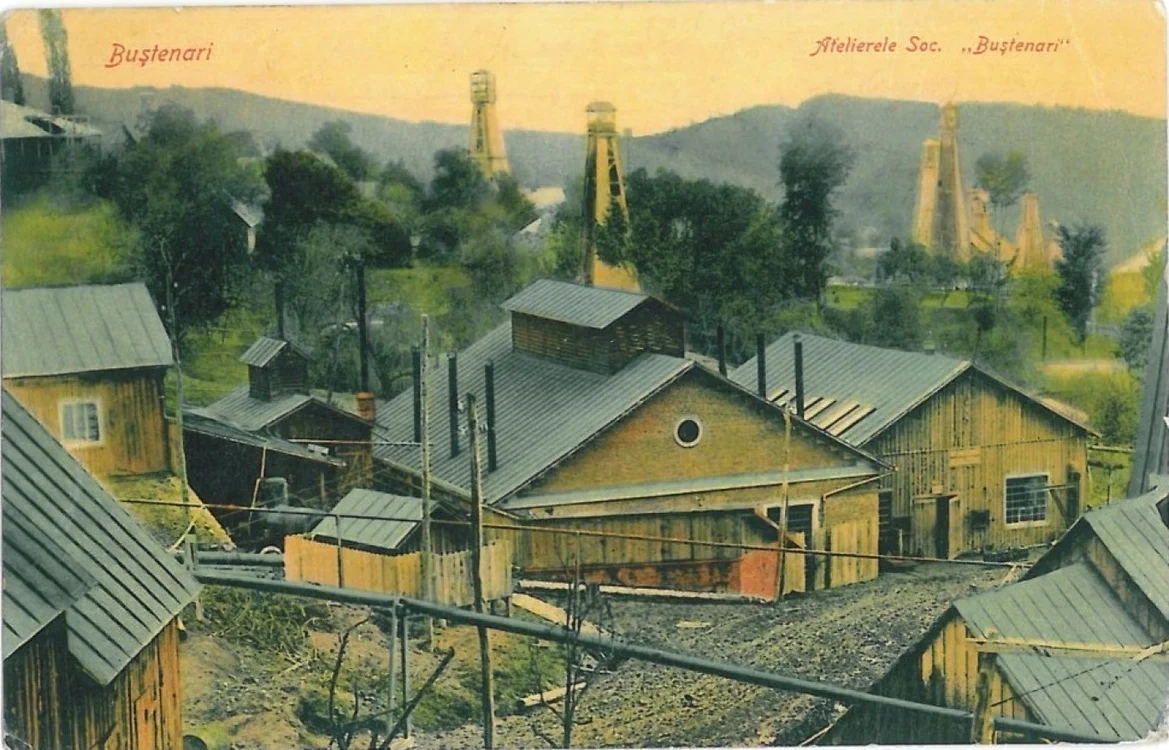 atelierele bustenari telega FOTO Arhiva Ion Bilga