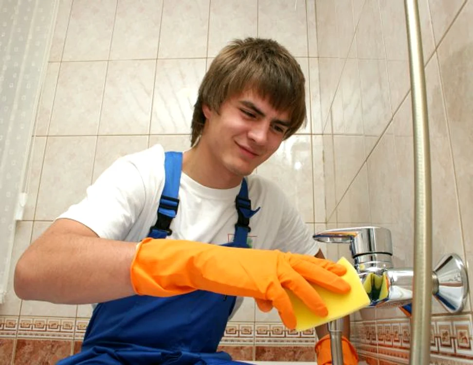
    Produsele naturale îndepărtează cu succes calcarul şi petele de rugină  