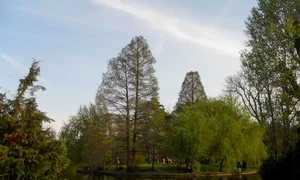 Bucarest Botanical garden islet JPG