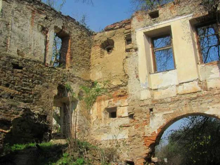 Castelul Bolyai din Buia - Foto Ramona Găină