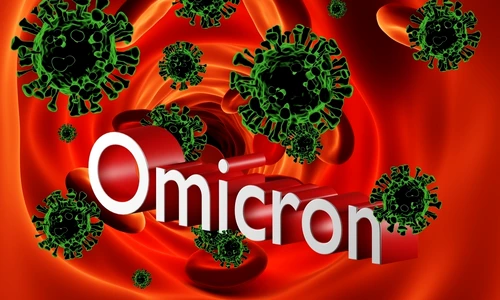 2 shutterstock 2082129973 jpg jpeg