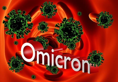 2 shutterstock 2082129973 jpg jpeg