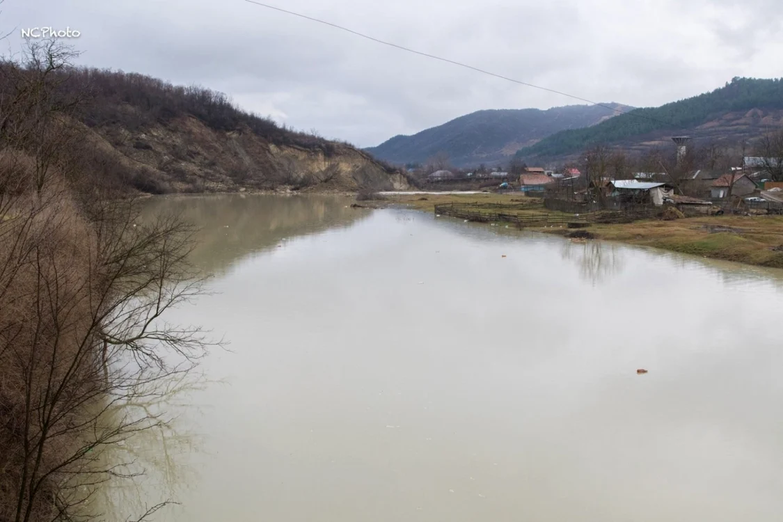 Foto Nicu Cârcei