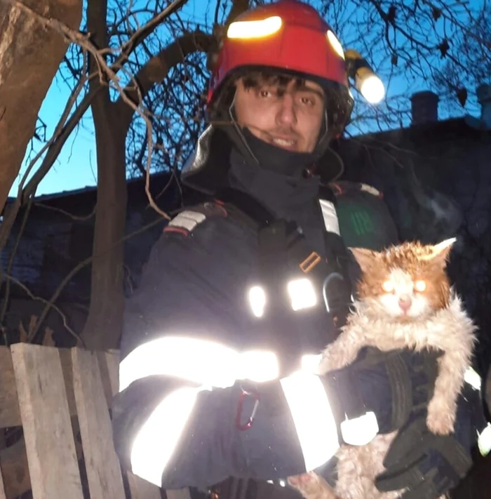 Salvarea spectaculoasă a unei pisici dintr-o fântână la Nicolae Bălcescu - Vâlcea  - în imagine felina şi salvatorul ei Foto Adevărul