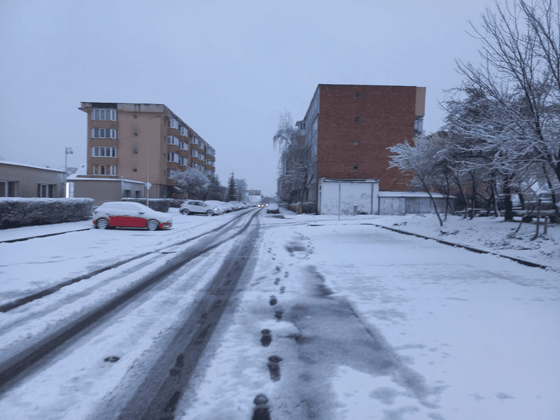 Chiar dacă iarna a revenit în forță, specialiștii în agricultură promit o recoltă bună la Brașov