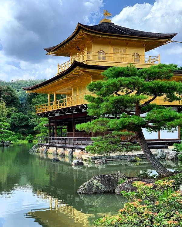 7 irina nicolae rochie neagra la tokyo japonia campionatul mondial de judo 6 jpg jpeg