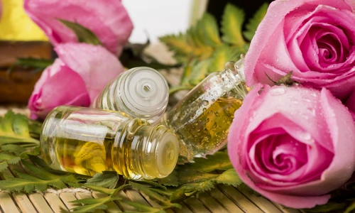 1 shutterstock 467866220 jpg jpeg