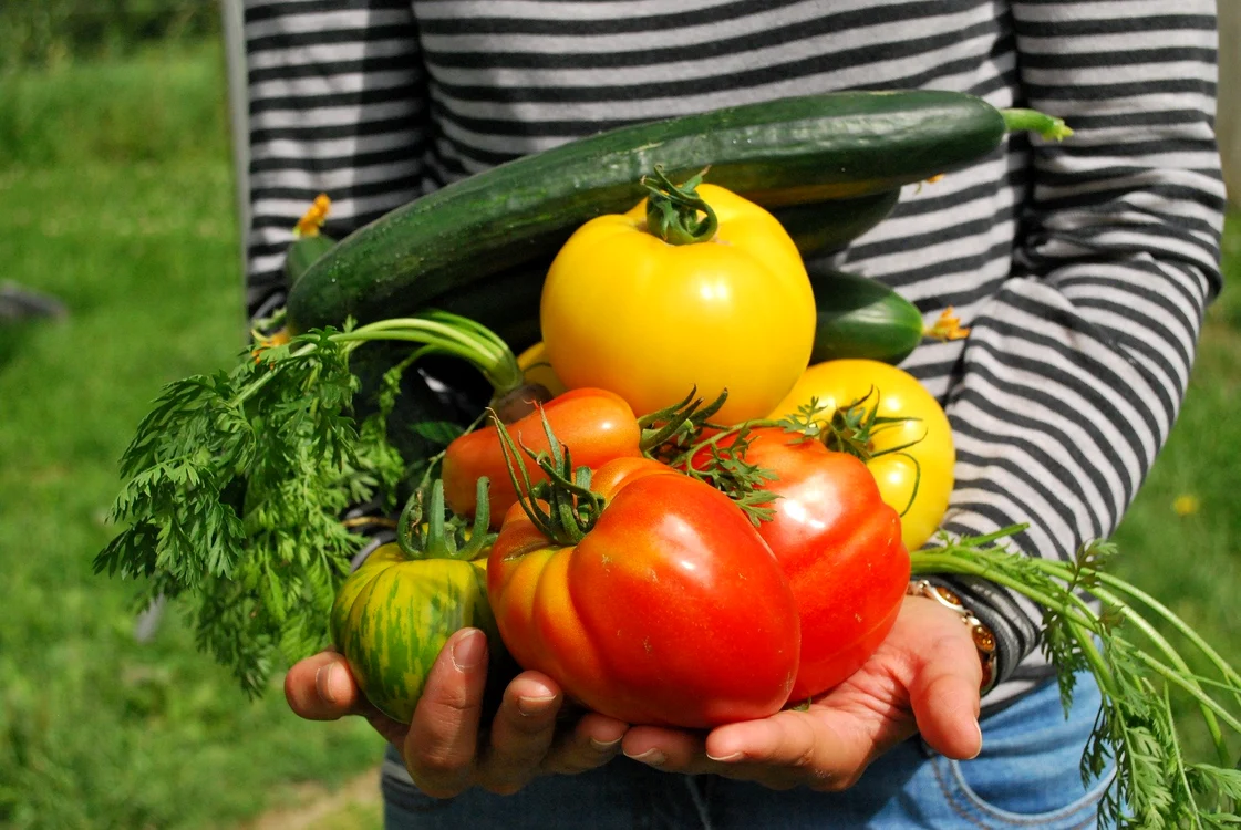 
    Vei vedea că ai la îndemână posibilități practice și moderne prin care poți să păstrezi chiar și peste iarnă fructele și legumele preferatefoto: pixabay.com  
