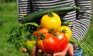 conservare fructe legume jpeg