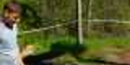 copil inecat in petrol