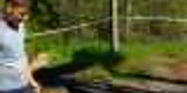 copil inecat in petrol