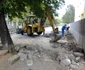 parcare trandafirilor