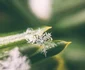 5 aaron burden 5fedgbqywvm unsplash jpg jpeg