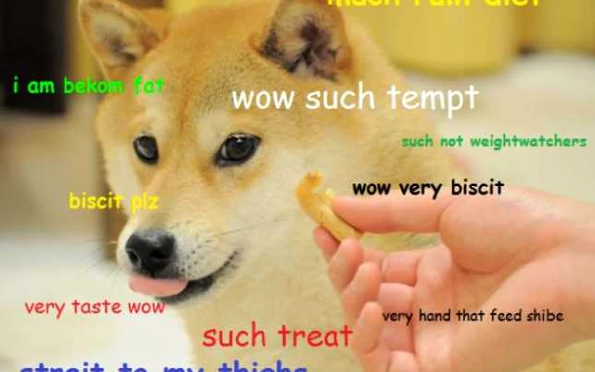 Atât de Doge.