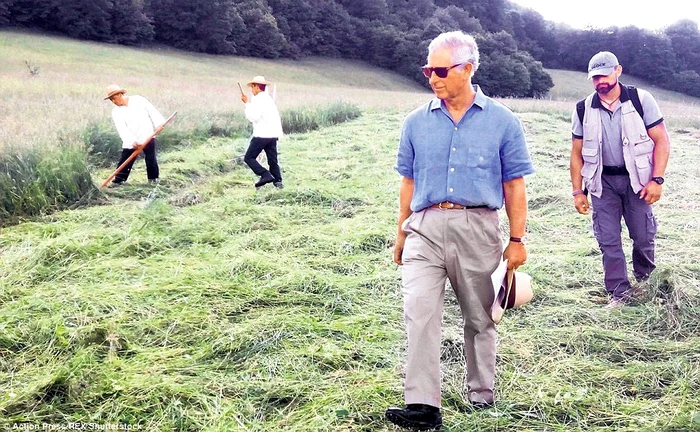 printul charles jpeg