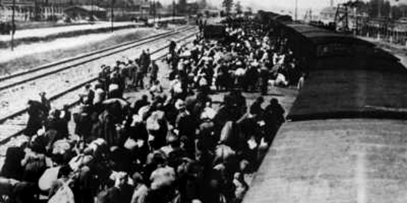 Transport de evrei unguri la Auschwitz   FOTO picture-alliance/dpa