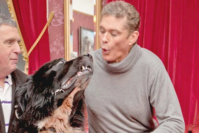 “Poa’ să fie apa cât de rece, sar şi vă salvez cât ai zice peşte!” (Fotografii: photolamd/caters/facebook)