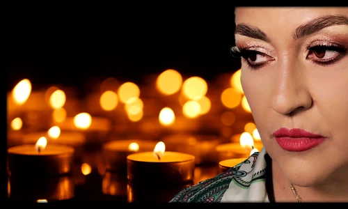 banner ronna hartner png