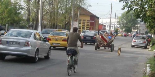 Târgovişte: Căruţaşul şmecheraş, taie calea prin oraş