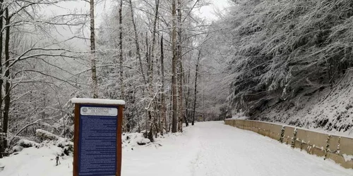 sarmizegetusa regia foto daniel guta adevarul