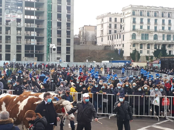 Slujba Boboteaza Constanta 2021 foto mariana iancu