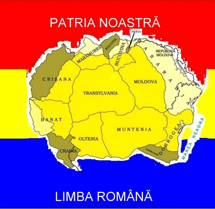 limba noastra