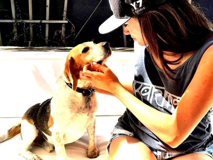 Meghan Markle mai are doi căței, Guy și Bogart