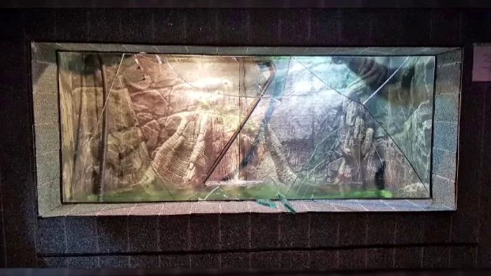 Bazinul avea 4 tone de apă în momentul spargerii