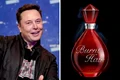 parfum elon musk