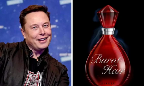 parfum elon musk