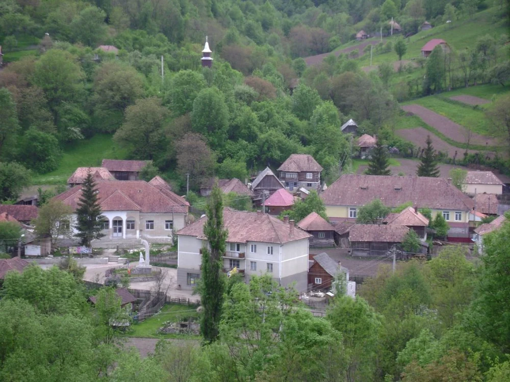 posaga alba