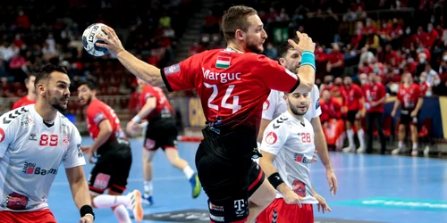 veszprem   dinamo jpg