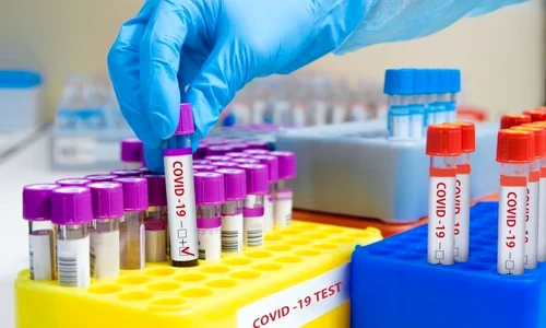 1 shutterstock 1697393968 jpg jpeg