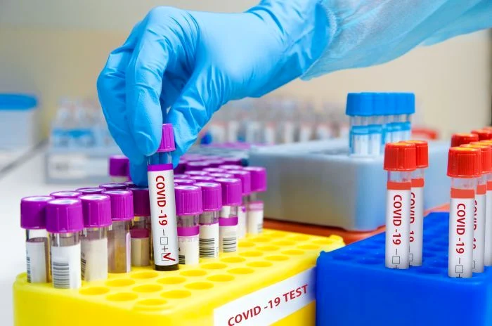 1 shutterstock 1697393968 jpg jpeg