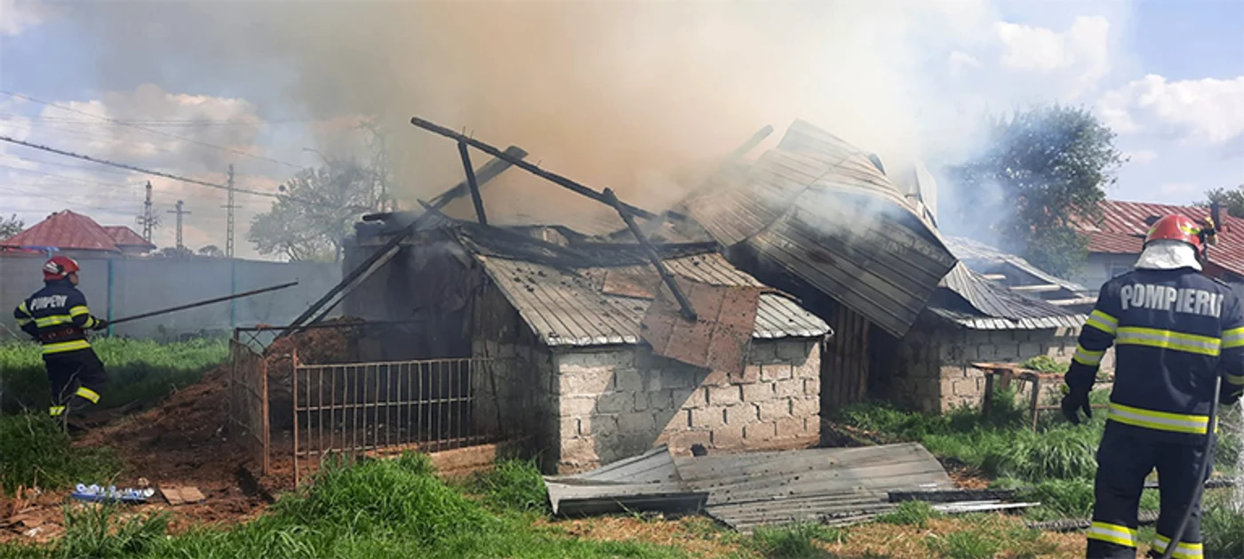 Pompierii au izbutit să lichideze incendiul. Foto: ISU Argeş