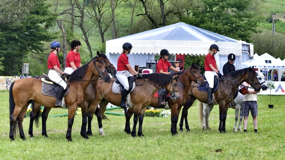 Ia parte la experiențe idilice la Transylvania Horse Show 2017! jpeg