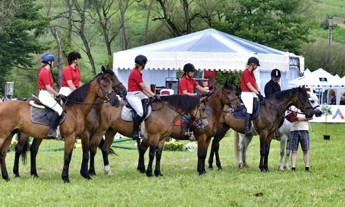 Ia parte la experiențe idilice la Transylvania Horse Show 2017!  jpeg