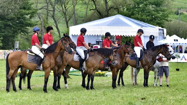 Ia parte la experiențe idilice la Transylvania Horse Show 2017!  jpeg