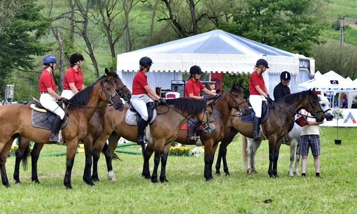Ia parte la experiențe idilice la Transylvania Horse Show 2017!  jpeg
