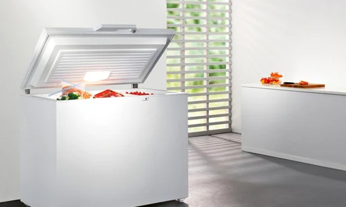 Ce trebuie să știi despre alegerea unei lăzi frigorifice jpeg