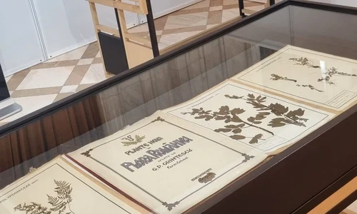 Foto: Facebook / Arhivele Naționale ale României