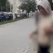 gif porumbel gif